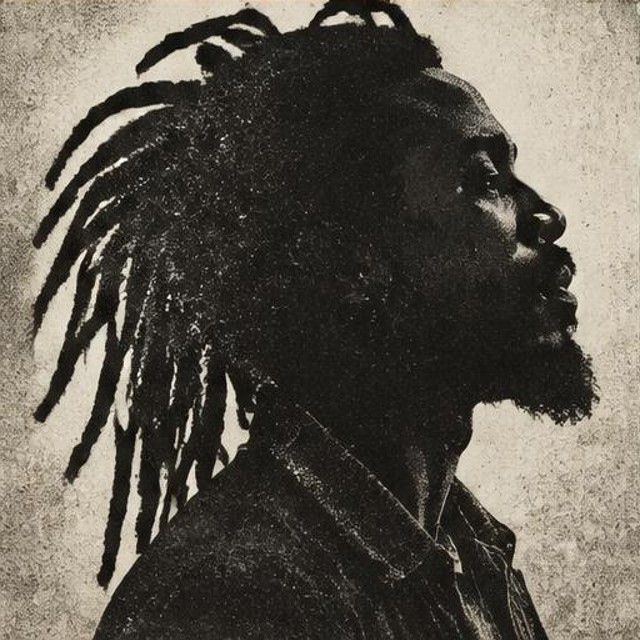 Sizzla – Conscious Fire illustrative artwork