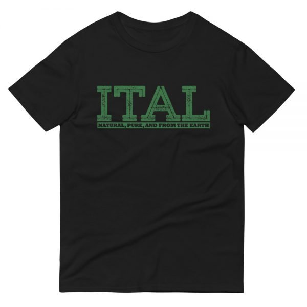 ITAL Short-Sleeve T-Shirt - Image 2