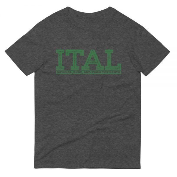 ITAL Short-Sleeve T-Shirt - Image 4