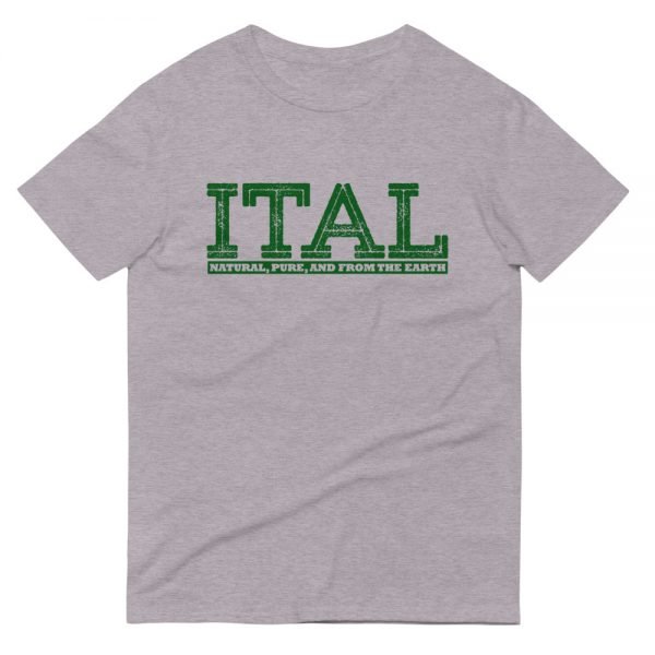 ITAL Short-Sleeve T-Shirt - Image 6